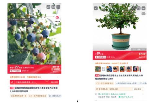 杭州春天爆料视频,短视频带你领略花海春意盎然  第1张